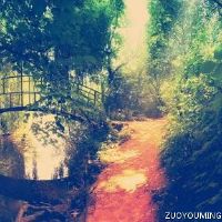 有关环保的标语，保护环境的标语， 有创意的环保口号或短句