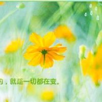 努力的说说发朋友圈,努力的说说发朋友圈正能量