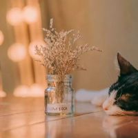 心累了快要崩溃的说说 生活好累好压抑的句子