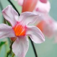 让人瞬间爱上的句子，生活感悟！心灵鸡汤经典语录！