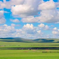 百句爱国诗词：心存家国，立身立德