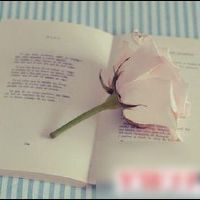 八月写尽人生的经典哲理语录