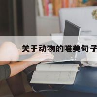 关于动物的唯美句子(关于动物的漂亮句)