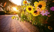 描写环境的句子