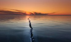 最骚最经典的句子