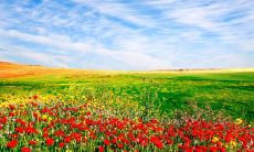 表示遇见你很开心的句子