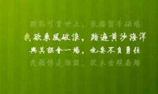 你的泪让我心碎的句子