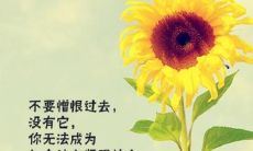 小清新唯美的句子