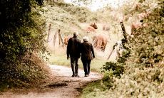 白头到老的句子