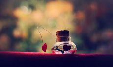 时光流逝的句子亲情