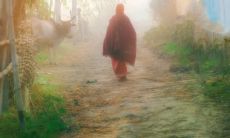 对亲情失望现实的句子说说心情