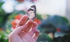 正能量英文句子