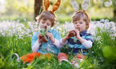 手足亲情的唯美句子