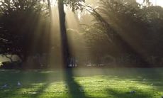 关于春天清晨的优美句子