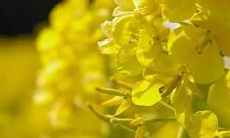 亲情精品中的精品句子