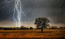 描写雷雨的句子