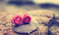 爱一个人如此心痛的句子