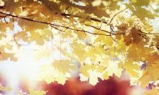 亲情回忆录的唯美句子