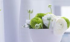 美到窒息的古风句子关于亲情