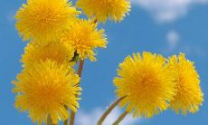 淘宝天气问候短信