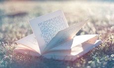 富有亲情哲理的句子