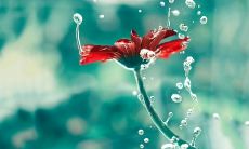 抒情的句子大全