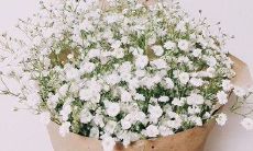 女生幸福开心的句子