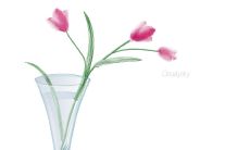 淡然的抒情句子