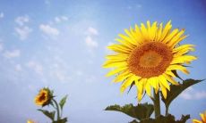 简短走心的句子