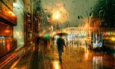 亲情人心凉的句子