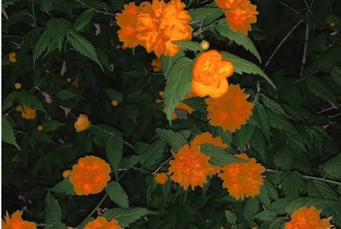 可爱的撒娇表情