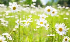 生活中不开心的句子