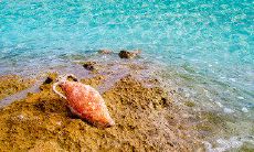 防寒保暖问候短信