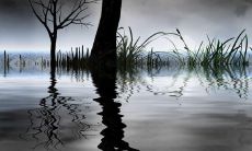 感恩给我捐钱的人的句子