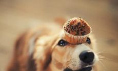 自律优美的句子