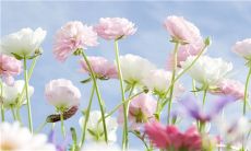 亲情很暖英文句子说说心情