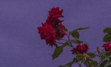 温柔正能量的句子