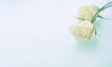 带有书名的描写亲情的句子