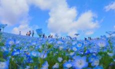 人生短暂要开心的句子