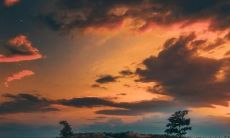 后悔买是再想买的意思的句子