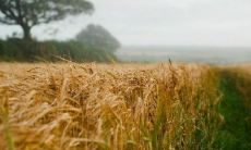 说说伤感心痛的句子