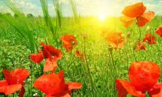 搞笑押韵的句子