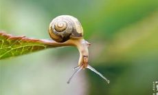 关于惊蛰的优美句子