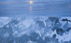 一些丧丧的伤感句子