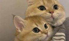 关于救赎的文案