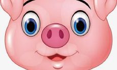 德才小学的运动口号