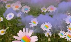 很丧很温柔的句子