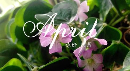 四月你好-励志句子