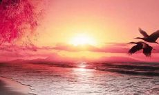 形容很伤心痛苦的句子