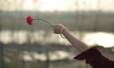 最佳表白情话大全简短撩人